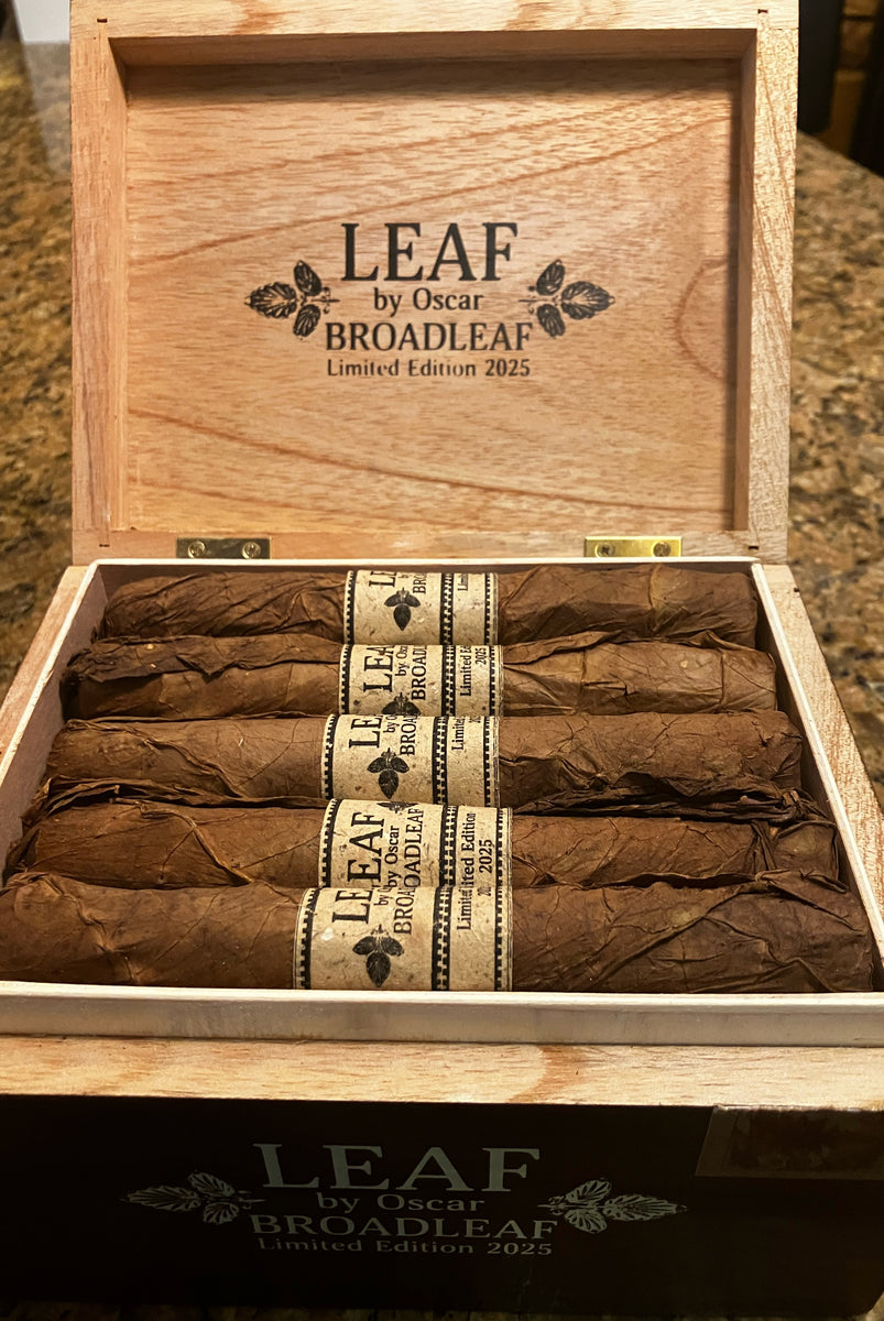 落葉樹 TOMO AB909C68-28B9-4215-9C20-