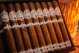 Rocky Patel Dark Star