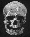 RoMa Craft Tobac CroMagnon Pennsylvania