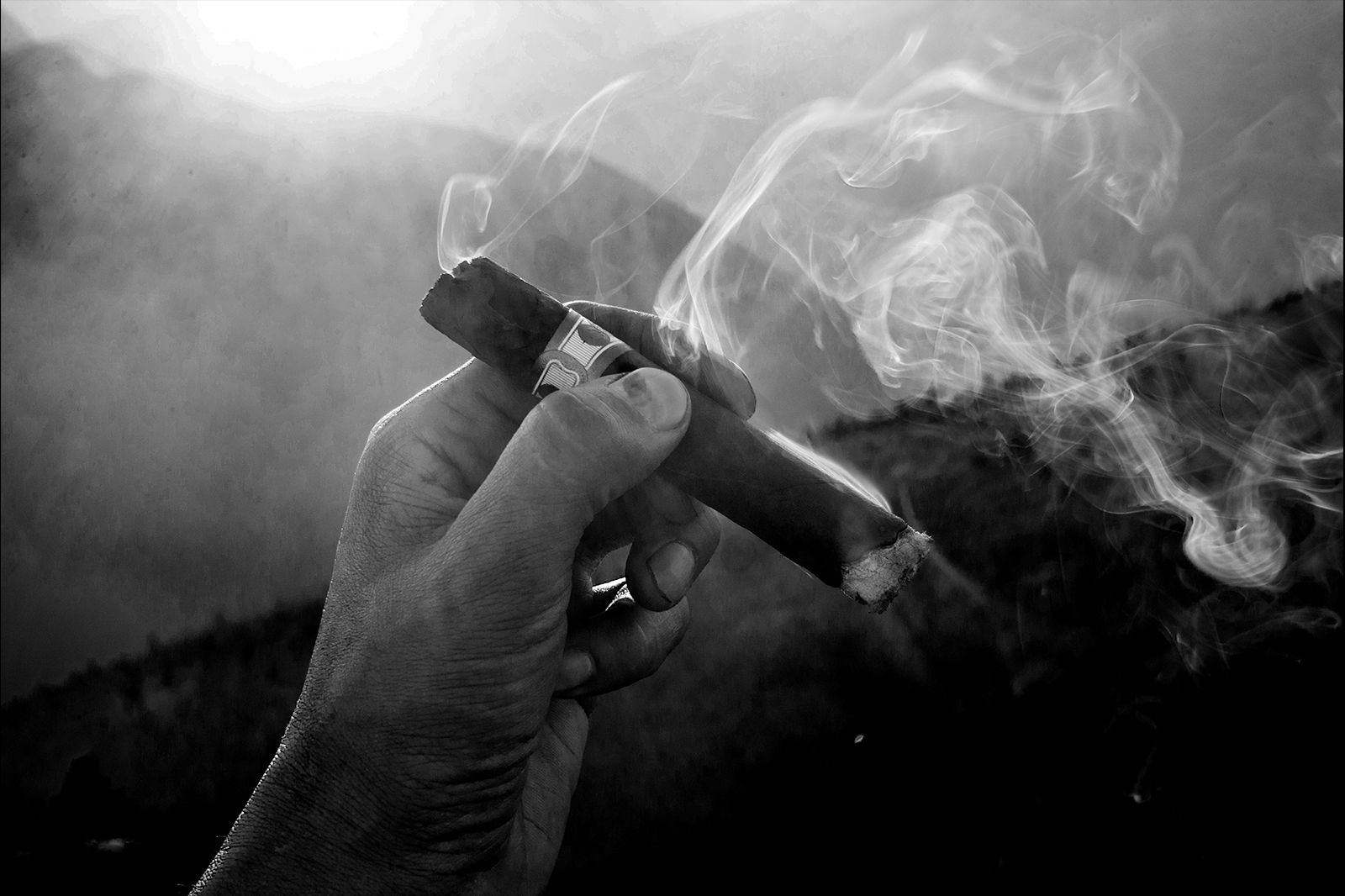 BnB International Cigars - Premium Cigars and Cigar Accessories